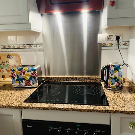 Charming Duplex With Pool トレビエハ